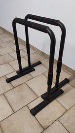 Panca Romana + Parallele per Dips