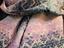 Immagine 3