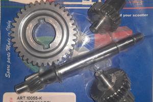 Ingranaggi Variatore Ciao/Si/Bravo (10055K)