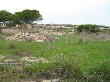 Lampedusa terreno agricolo