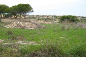 Lampedusa terreno agricolo