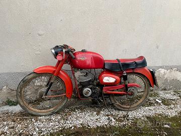 Cimatti 75cc