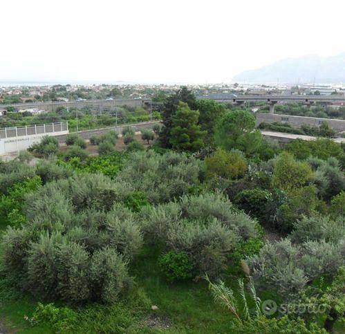 Appartamento – Carini, Villagrazia di Carini - Vista 4