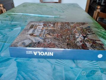 Libro: NIVOLA la sintesi delle arti....60 euro