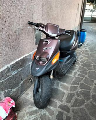 scooter next 