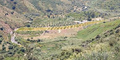 Terreno agricolo a Casteldaccia (Pa)