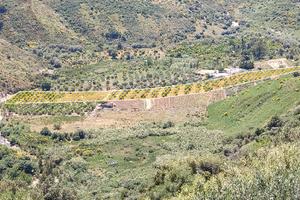 Terreno agricolo a Casteldaccia (Pa)