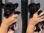 Immagine 5