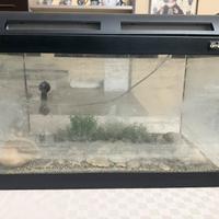 Acquario 34l con accessori