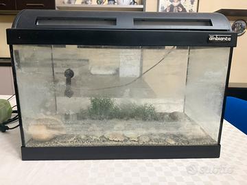 Acquario 34l con accessori