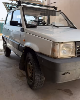 Fiat Panda 1.1 Fire 4x4 con rimorchio omologato