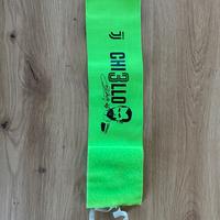 Chiellini fascia Juventus