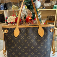 LV Louis Vuitton Neverfull Small