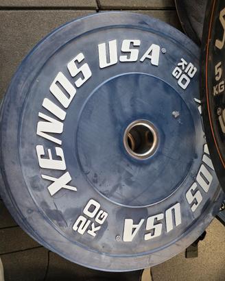 Dischi pesi Xenios USA olimpici – come nuovi