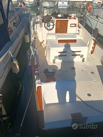 Pilotina Walk around da pesca Mare Zeta Spynx