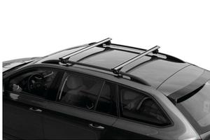 Barra portatutto e portasci