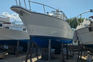 Barca a motore linea d'asse