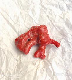 ramo corallo rosso di Sardegna anni 70. 