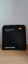 SPIDERING plauteau Cannondale power2max NG