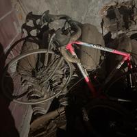 Bicicletta colnago