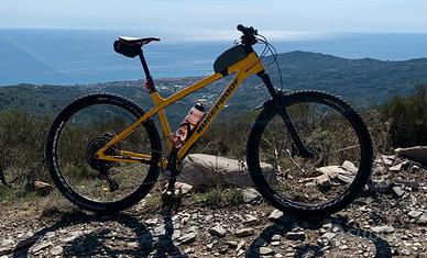 Nukeproof scout 290 XL front