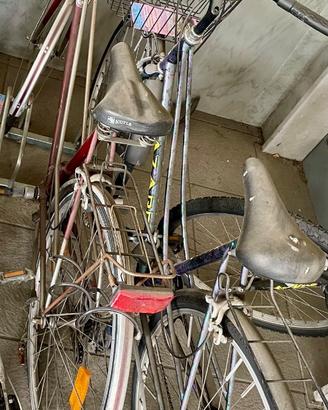 Coppia di biciclette da città