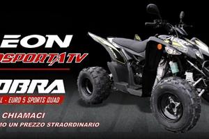quad AEON COBRA EURO5 ,