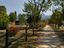 Immagine 12