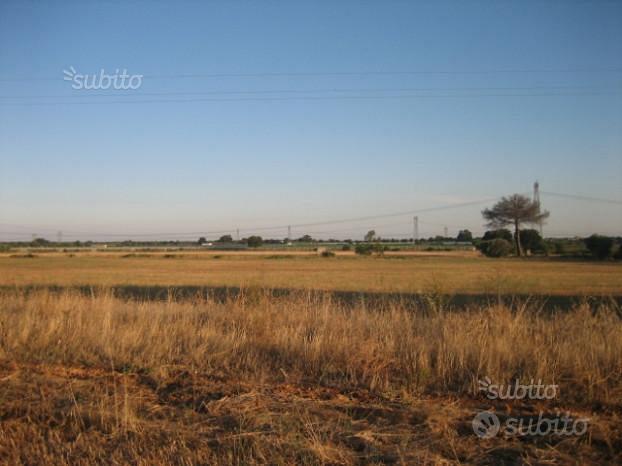 Terreno di 13 ettari a GROTTAGLIE - Vista 4