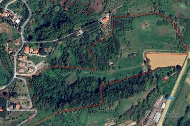 Terreno agricolo a Lari