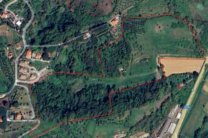 Terreno agricolo a Lari