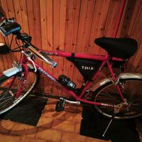 Bicicletta uomo