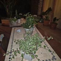 tavolo ferro battuto