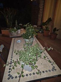 tavolo ferro battuto