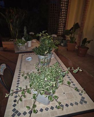 tavolo ferro battuto