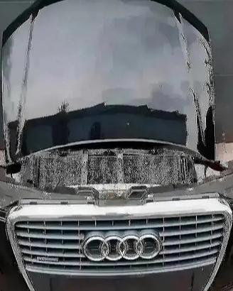 Audi A8 D3 Facelift Muso Paraurti Fari Radiatori