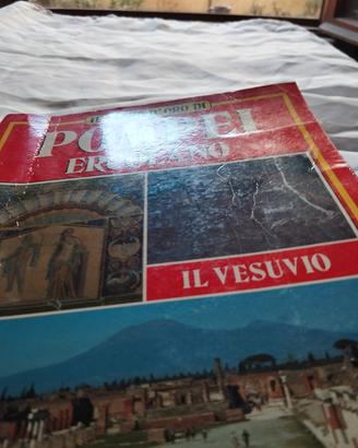 libro Pompei e Vesuvio 