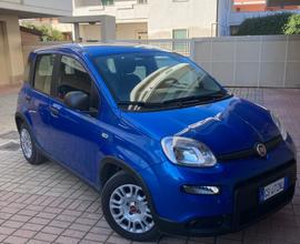 Fiat Panda Hybrid