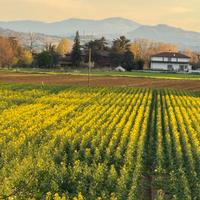 Terreno Agricolo 9,5 Et Granarolo Dell'Emilia