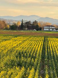 Terreno Agricolo 9,5 Et Granarolo Dell'Emilia