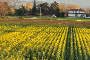 Terreno Agricolo 9,5 Et Granarolo Dell'Emilia