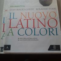 il nuovo latino a colori.