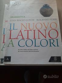 il nuovo latino a colori.