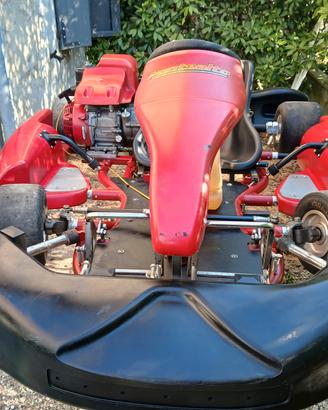 Go kart noleggio