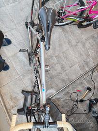 bici da corsa Wilier triestina