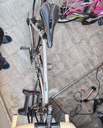 bici da corsa Wilier triestina