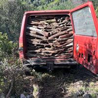 Legna da ardere sarda alta qualita.Consegna gratis