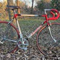 Bicicletta da corsa De Franceschi