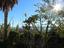 Immagine 26