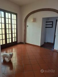 pressi  Ferrucci appartamento 5 camere